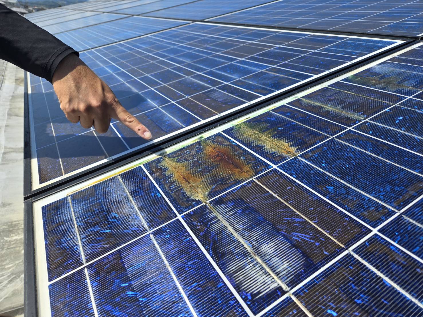 太陽光メンテナンス